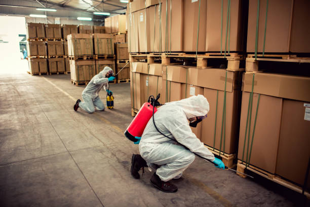 Best Best Pest Control Companies  in Mount Ayr, IA