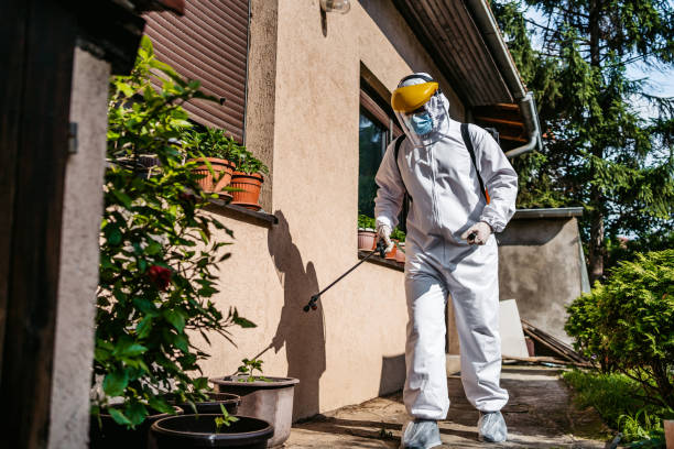 Best Cockroach Control Services  in Mount Ayr, IA