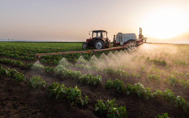 Best Affordable Pest Control Services  in Mount Ayr, IA