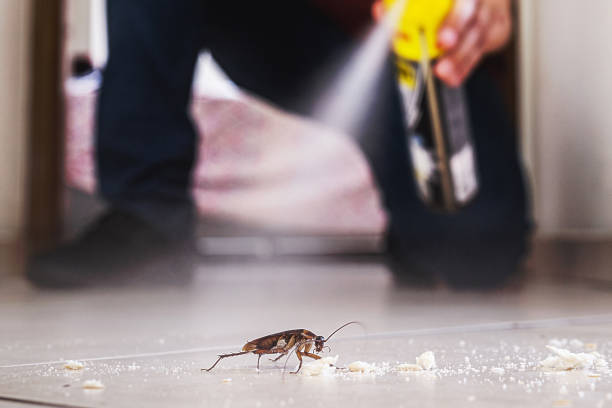 Best Pest Inspection Near Me  in Mount Ayr, IA