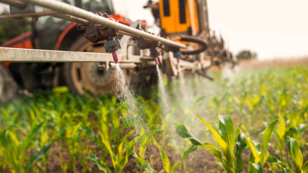 Best Best Pest Control Companies  in Mount Ayr, IA